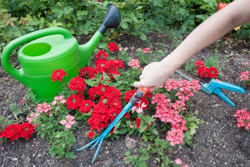 Professional gardener pruning shrubs in Kensington garden