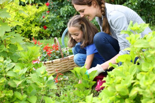 Eco-friendly lawn care practices