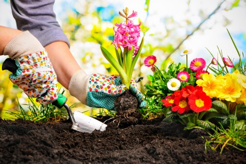 Sustainable gardening practices in Kensington