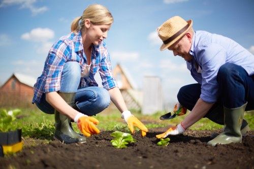 Eco-friendly garden maintenance practices in a Kensington home garden